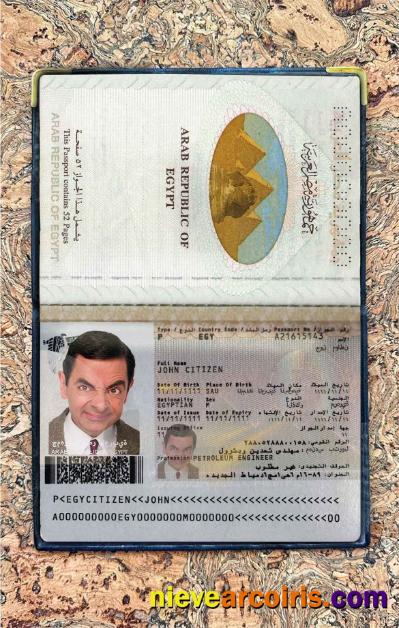 Egypt passport photolook